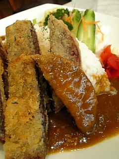 1/19 山陽にほえる