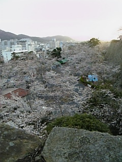 鶴山公園（津山城）