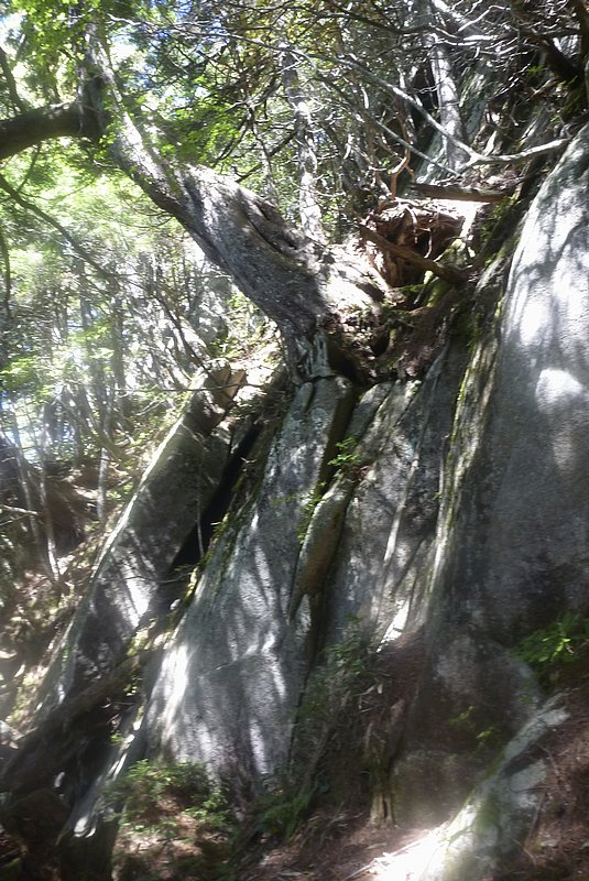 有明山で登山道をロスト