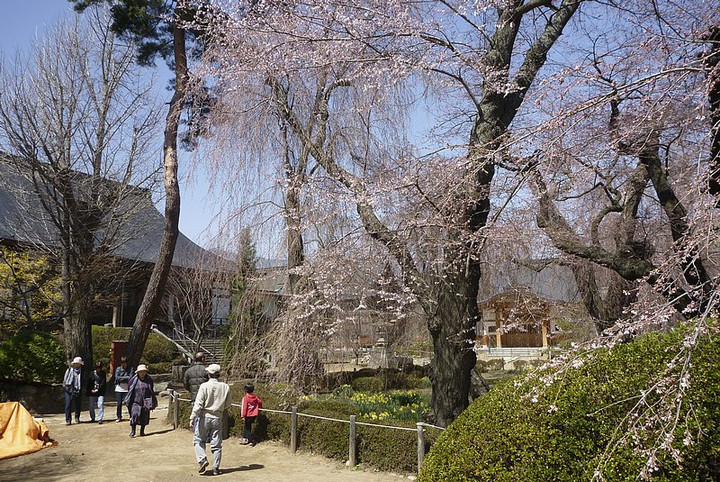 Anyou