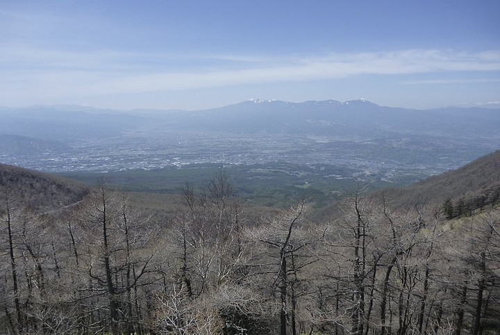 Saku