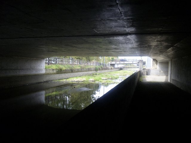 Jikkasa