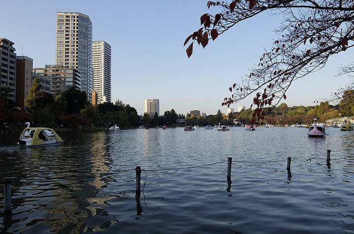 Shinobazu