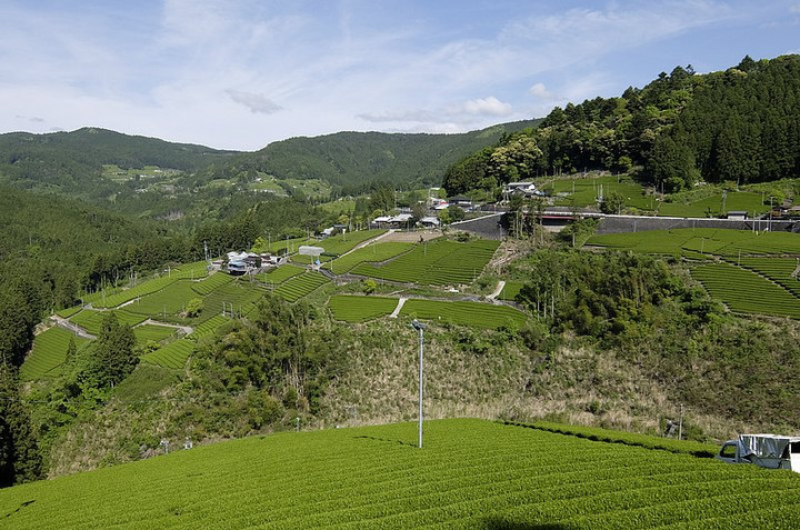 Kawane