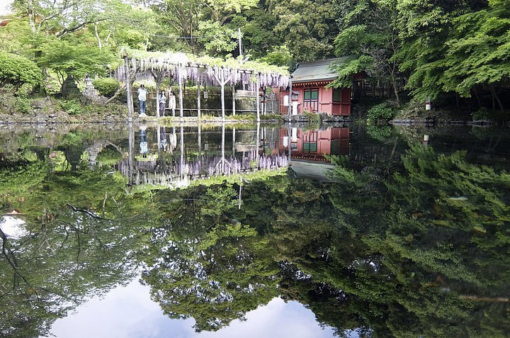 Wakutama