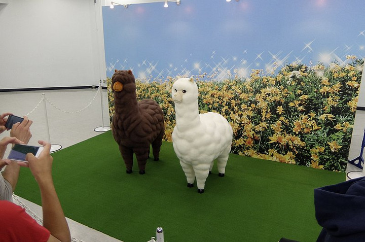 Alpaca