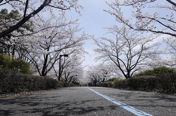 Skyroad4