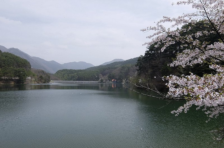 Misuzuko