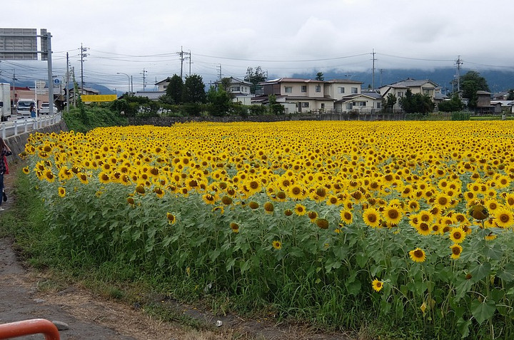Niimura