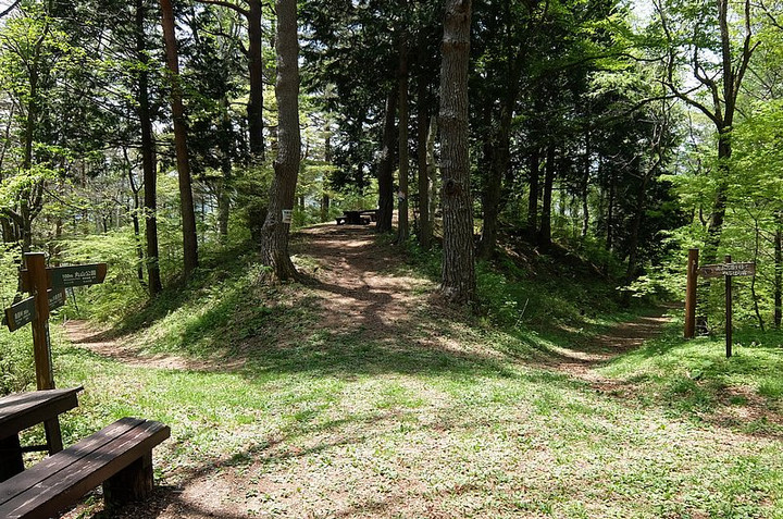 Maruyama
