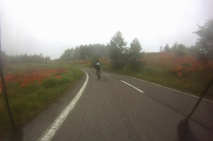 Fog