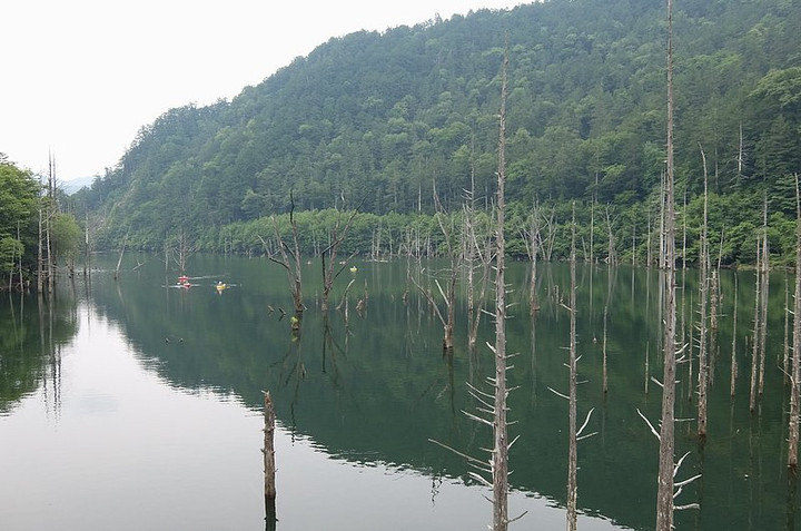 Nature