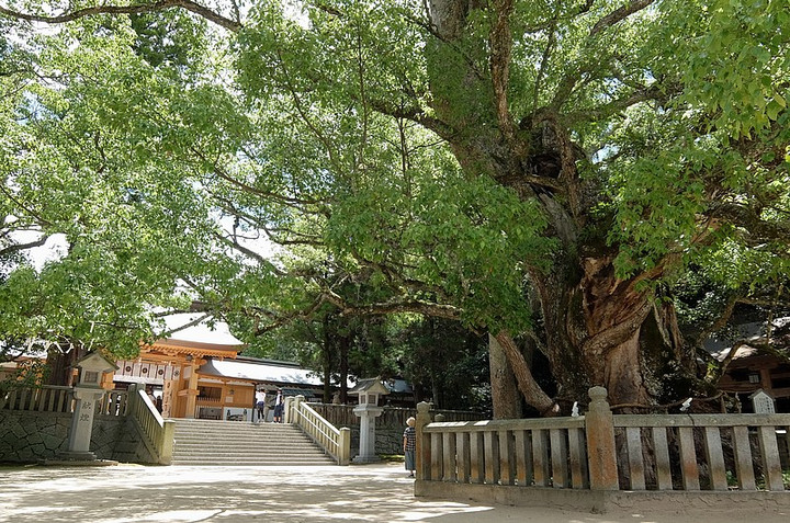 Ooyama
