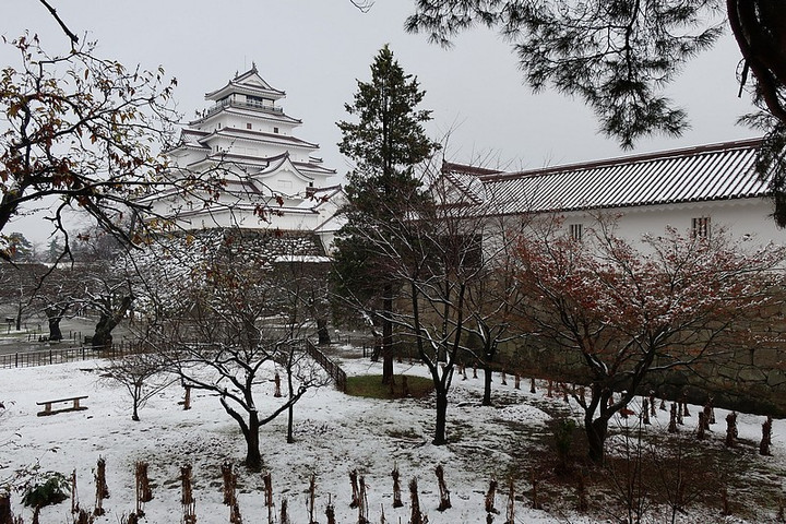 Tsuru_2