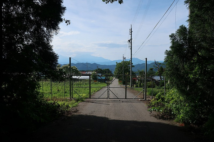 Fukui