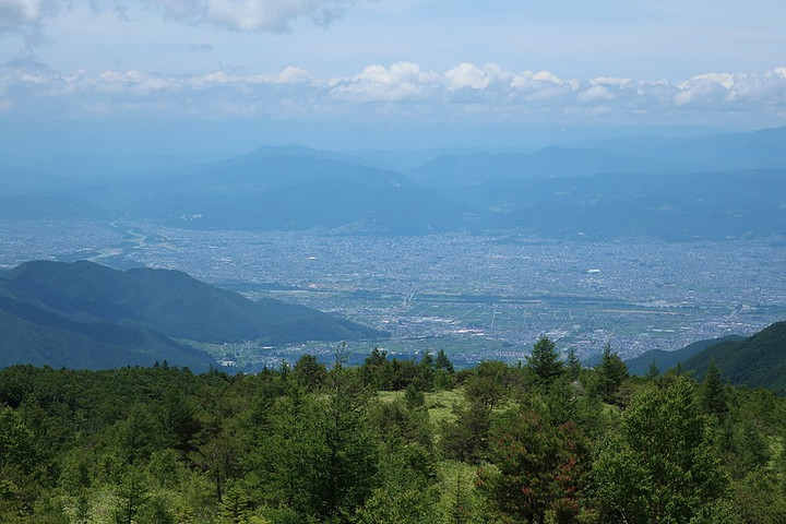 Gomi