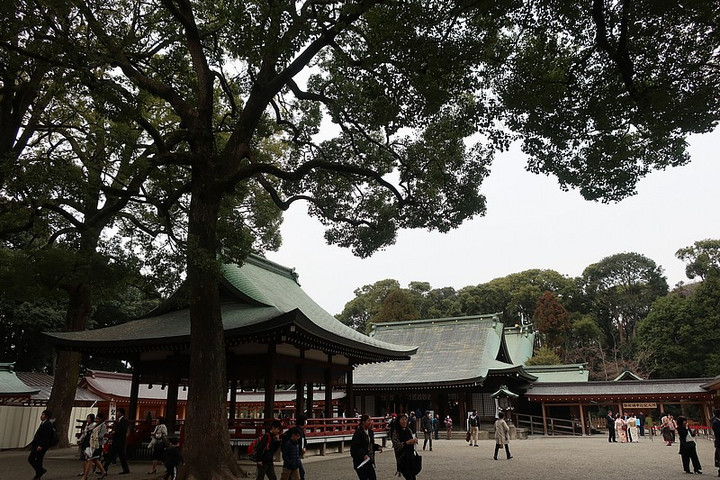 Hikawa