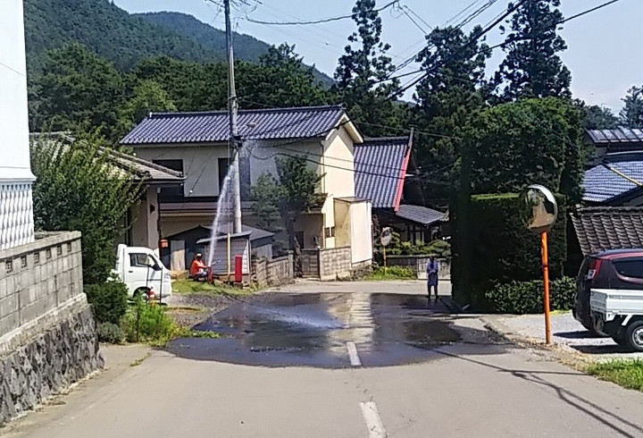 Hose