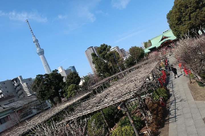 Kameido