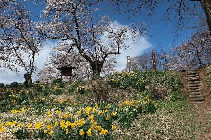 Fukuyo