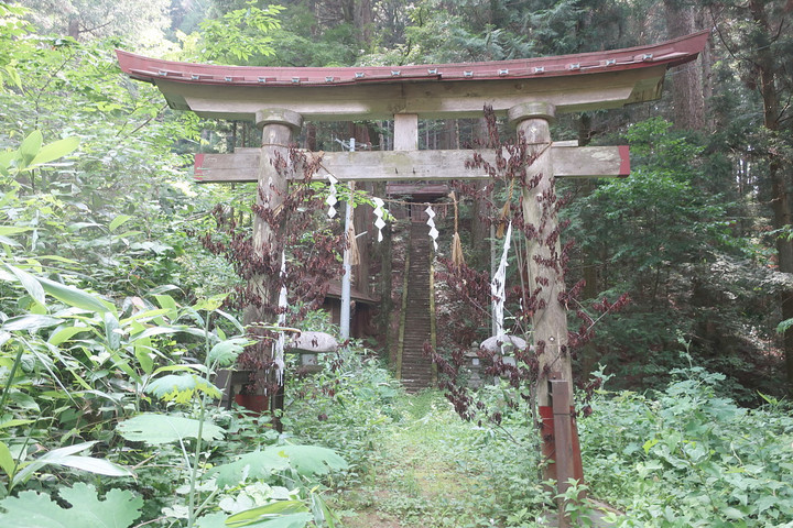 Torii