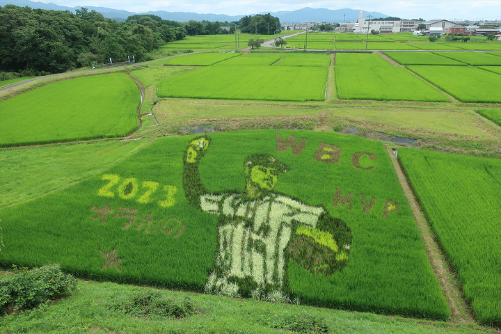 Aterui