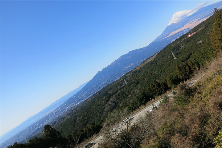 Yamanaka