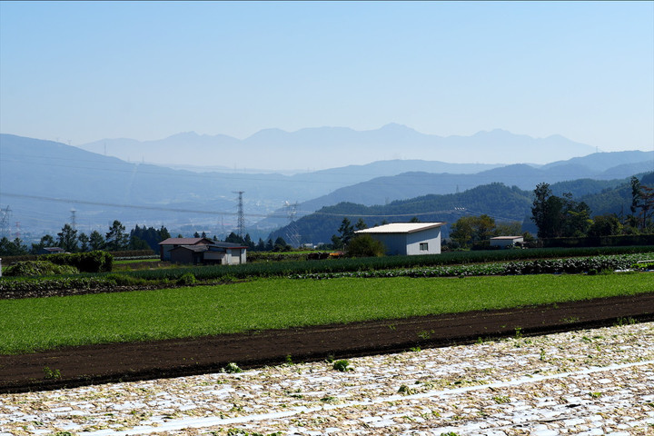 Yatsu