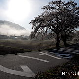 伊南川沿いの朝霧