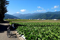 鉢盛山方面
