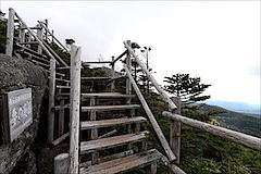 夢の庭園階段路