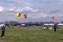 スカイスポーツ