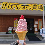 かぼちゃやま農場のソフトクリーム