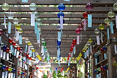 Furin