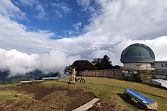 Dodaira