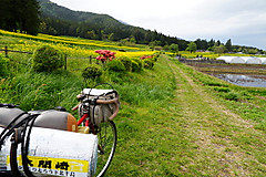 Iwahara