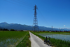 Tower
