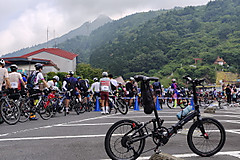 Tsutsuji