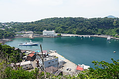 Habu